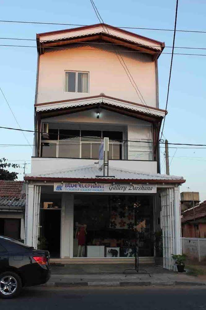 Blue Elephant Tourist Guesthouse Kudapaduwa Exterior foto